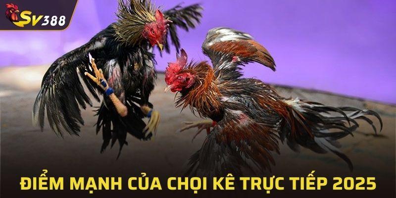 Trải nghiệm chân thực và sống động của trực tiếp đá gà